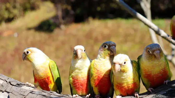 3_Yunnan Wild Animals Park