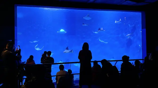 3_Shanghai Ocean Aquarium