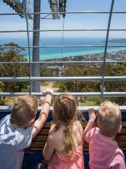 Arthurs Seat Eagle - Base Station