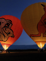 Hot Air Balloon Gold Coast