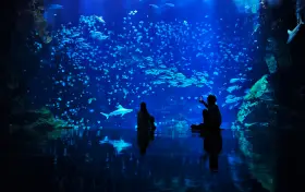 Xpark 水族館