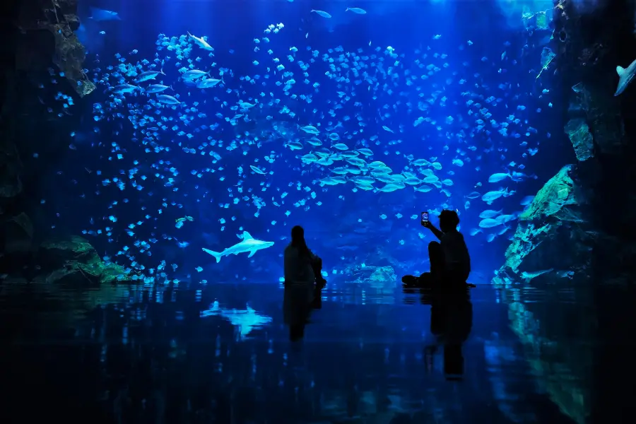 Xpark Aquarium