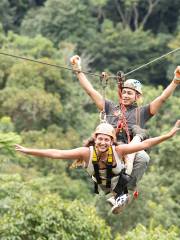 Chiang Mai Jungle Zipline