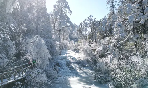 Longcanggou National Forest Park