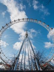 London Eye