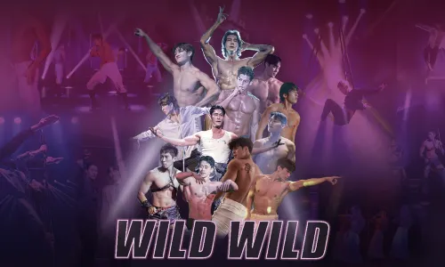 Wild Wild <After Party>