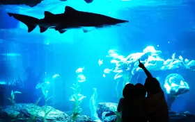 釜山SEA LIFE水族館