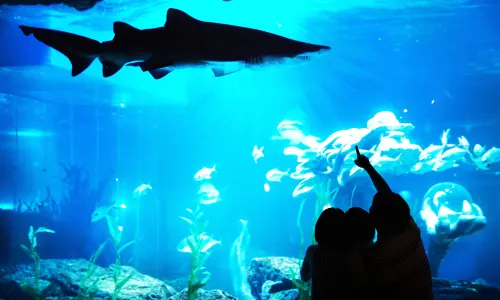 SEA LIFE Busan Aquarium