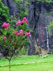 Fujian Linyin Stone Forest