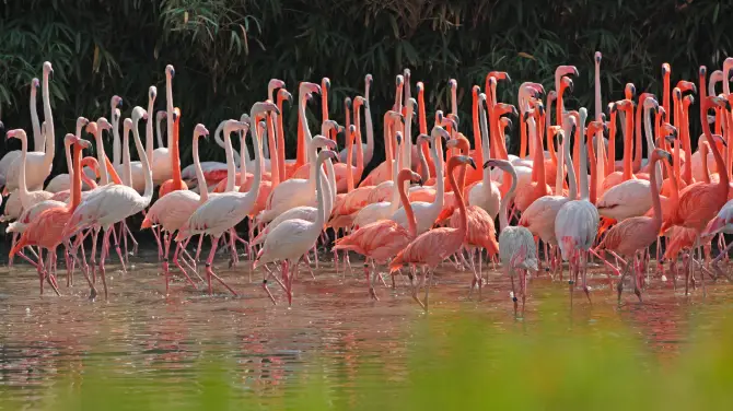 4_上海野生動物園