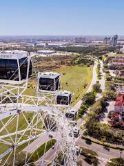 Orlando Eye