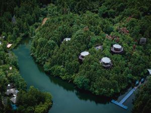 Ziyoujia · Tree house World