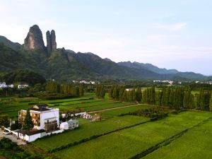 MOUNTAIN FIELD  FLOWER HOUS