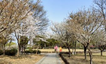 Xijian Youming Homestay(yunhufengjingqudian)