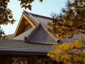 Tang Jingze Onsen Hotel