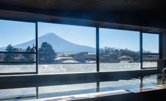 Mt. Fuji View Onsen Ooike Hotel