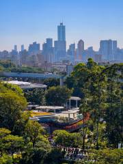 Yunluo Botanical Garden