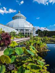 Botanical Garden di New York