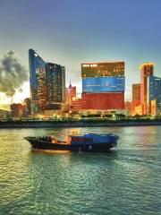 Zhuhai-Macau Bay Night Cruise