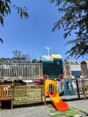 Koala 100 Family Fun Park