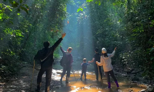 Jino Mountain Rainforest Hiking