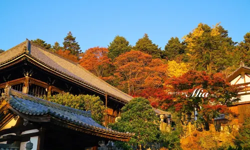 Todai-ji Nigatsudo (February Hall)