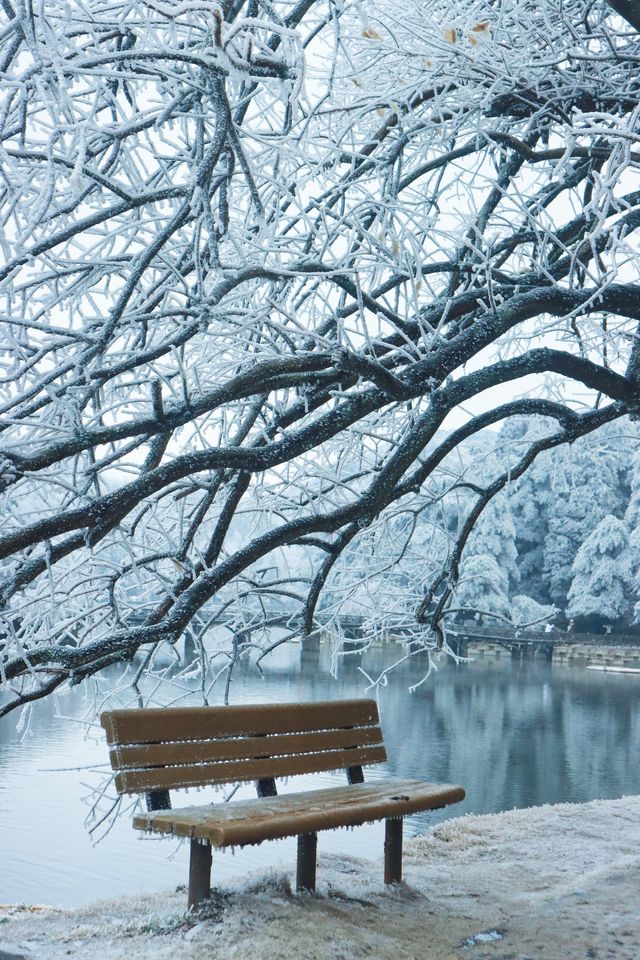 聽說很多人不相信這是廬山的雪景