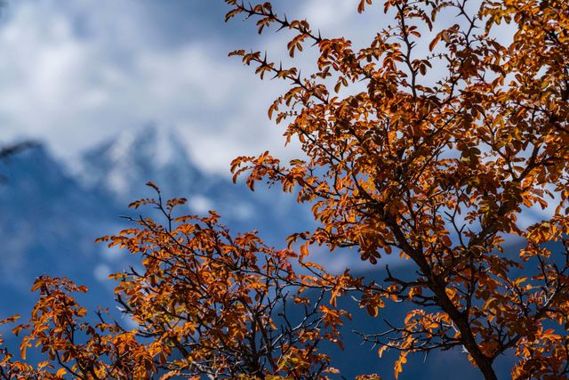 紅拉山，214國道進藏第一座高山