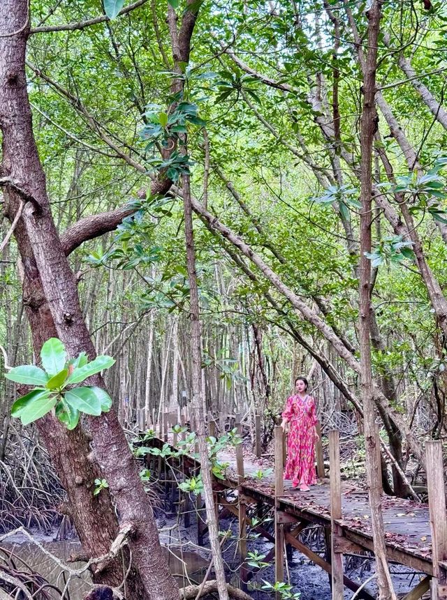 泰國羅勇自然生態之旅，領略純淨之美。