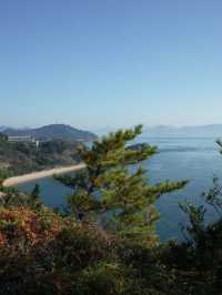 Setouchi Triennale: A Perfect Solo Trip for Art Students