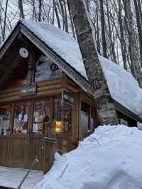 北海道旅居三年後的冬季出遊攻略🌨️