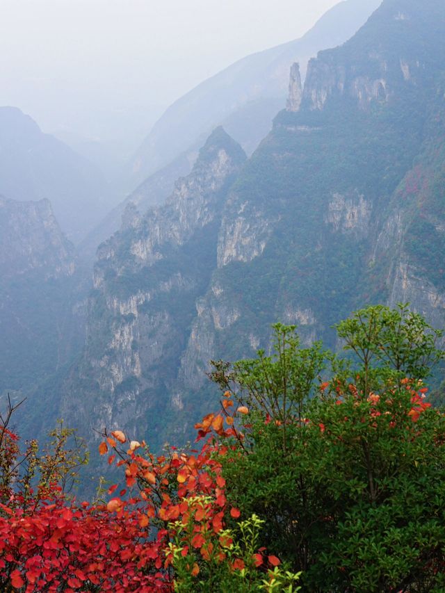 元旦探秘長江三峽-重慶 美到窒息的旅行攻略