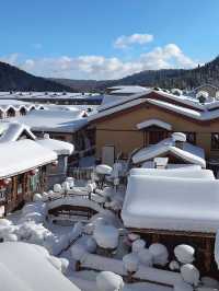 哈爾濱-雪鄉5日遊 超詳細攻略不踩坑