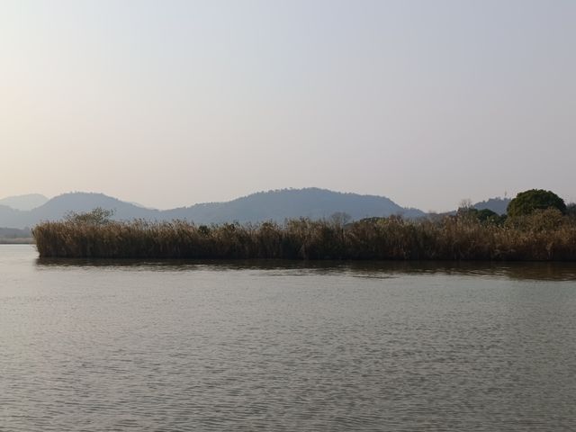 杭州周邊遊親子戶外德清下渚湖濕地公園