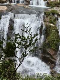 陵水吊羅山森林公園行山就 get 這條路線