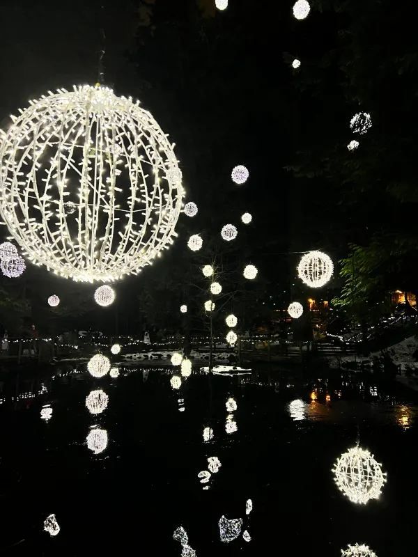 Visit Capilano Suspension Bridge Park's Light Show Before It Ends