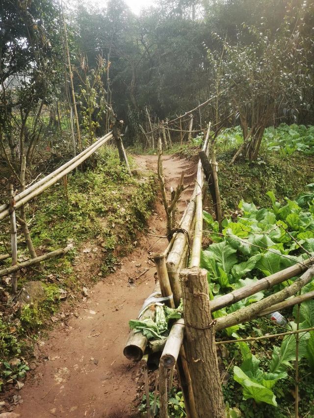 鶴鳴山｜探索自然的奧秘