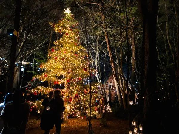 The Most Beautiful Christmas Experience at the Karuizawa Kogen Church