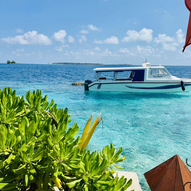 Lily Island!!! 🏖 🏖 one of the popular islands in Maldives 🏖