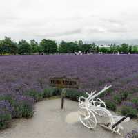 Exploring Hokkaido's Floral Wonderland and the Northernmost Point in Japan