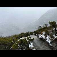 Cradle Mountain! 