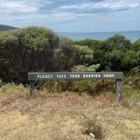 Amazing 2023 journey to Great Ocean Road