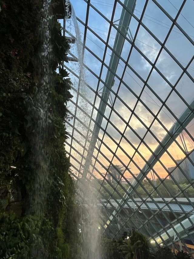 🇸🇬 Cloud Forest at Gardens by the Bay