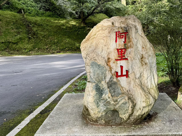 《阿里山賞日出》