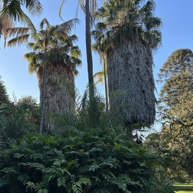 Botanic Garden—走進愛麗絲的仙境