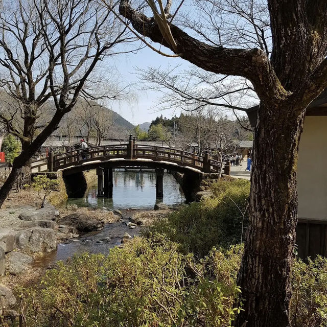 【栃木】🇯🇵 忍者仕掛迷路