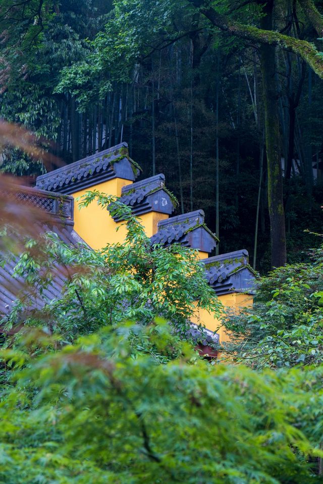 杭州永福寺｜「錢塘江第一福地」