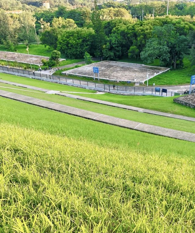 闖入宮崎駿的夏天