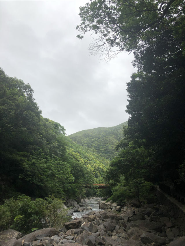 世界遺產 小眾秘境——日本霧久島