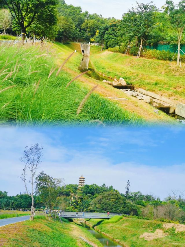 深圳的一處獨特美景——西麗湖牌坊！